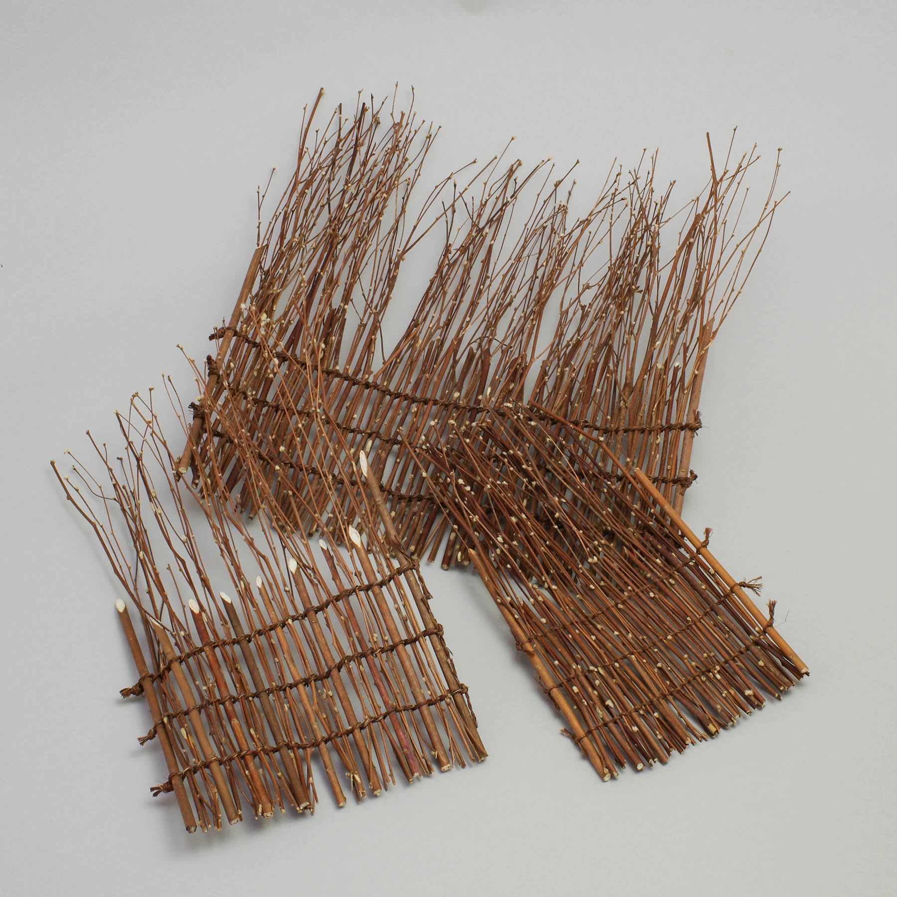 Bushclover Hagi Sudare