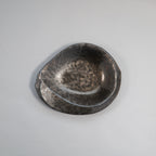 Gold Kessho 21cm Shell Plate